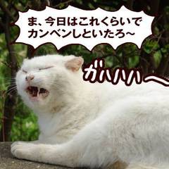 年末で出来ない事は…