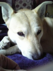 皇族とお知り合いになるかも？！