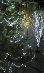 １２月になりました