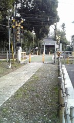 参道をまたぐ線路