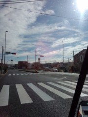 温かくなりました