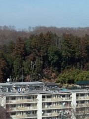 暖かかったですねぇ～