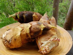 ☆ＹＵＩ☆アルバイト☆