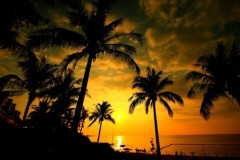 【お題日記】やさしくしようと思う時