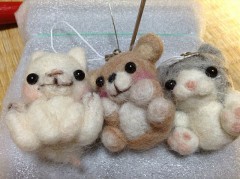 どっちがいいべか