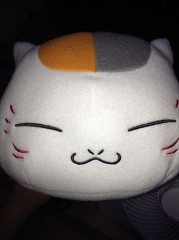 ありがとうニャンコ先生