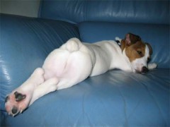 身体目当ての場合。