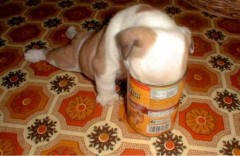 短小。早漏。包茎。