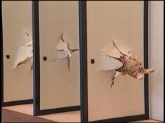 イクまでの回数。（処女で実験）