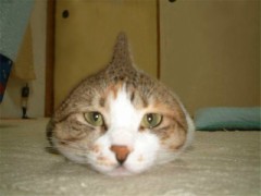 思わず勃った瞬間。