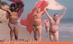 流石白人のSEXは違います。