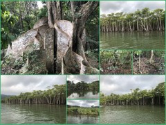 沖縄本島～石垣島観光1日目
