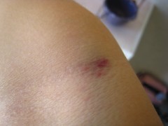 おべんきょ休憩中・・・