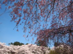 ご無沙汰です♪