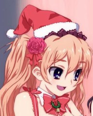 【お題日記】クリスマス誰と過ごす予定？