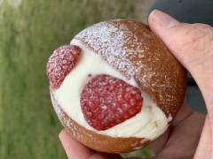 【お題日記】最近丸くなったなと思うこと