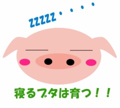 今日のスッキリ！！