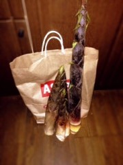 にょきにょき～♪