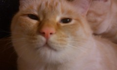 ベビー＆ハッピーラッシュ♪