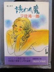 【お題日記】官能小説を読んだことある？