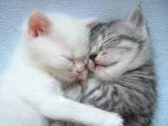 【お題日記】エッチが終わった後の後片付け