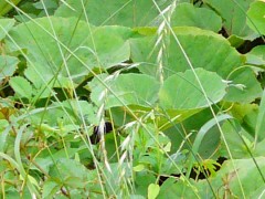 ずっと勘違いしてたこと