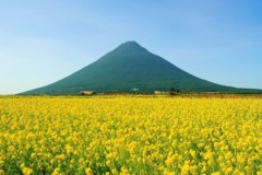 富士山登ったことある？