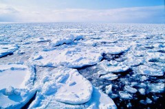 飲み物の氷食べる？