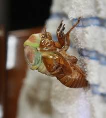 イッた後にしてほしいこと