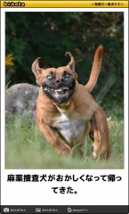 出会ったその日ってあり？