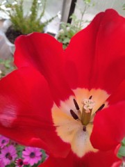 最後にしたのはいつ？