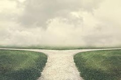 ペット保険加入してる？