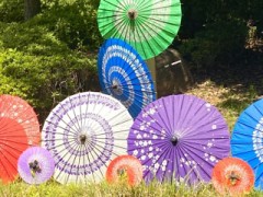 いつも折り畳み傘持ち歩いてる？