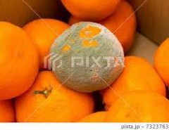 会話でジェネレーションギャップ感じた事