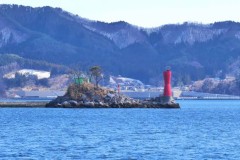 クルーズ旅行したい？