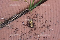 【お題日記】アソコの形気にしてる？