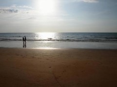 行きたい、行く予定の夏のイベント