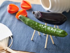 おもちゃ以外に使ったことあるものは？