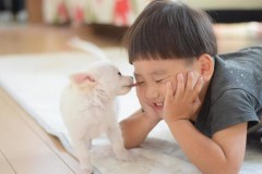 舐めって好き？