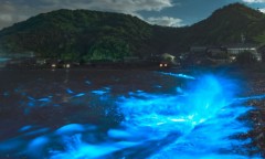 【お題日記】グランピングした事ある？