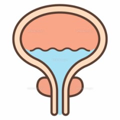 【お題日記】いつも●時に起きてます