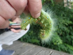 【お題日記】賞味期限は気にしてる？