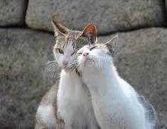 【お題日記】気になる人からの不意のボディタッチ