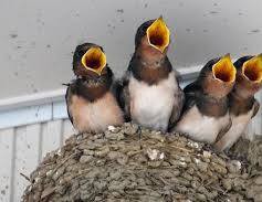 【お題日記】年下のと刺激的な時間は？