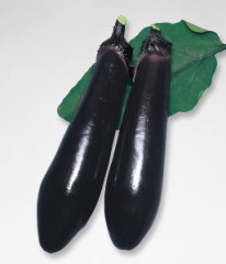 【お題日記】興味本位で入れてみちゃったもの