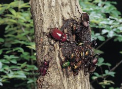 【お題日記】アソコに塗ったことあるもの