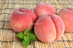 【お題日記】美尻だと思うお尻の特徴