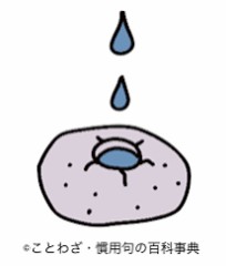 【お題日記】なかなか理解されない性癖