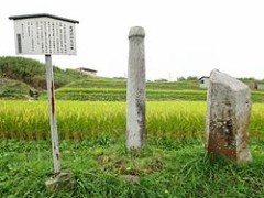 元恋人と使った玩具どうしてる？