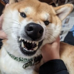 彼・彼女からのHがしたいサイン
